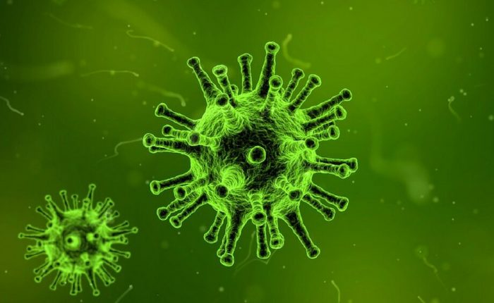 On the Origins of the 2019-nCoV Virus, Wuhan, China