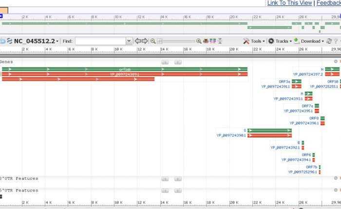 On the Oddities and Unusual Characteristics of the 2019-nCoV Virus Genomes and Their Analyses