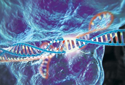 What is the Likelihood That SARS-CoV-2 mRNA Vaccines Will “Alter Our DNA”? Should You Be Concerned?