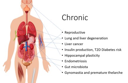 The Disease Burden of Endocrine Disrupting Chemicals – jameslyonsweiler.com